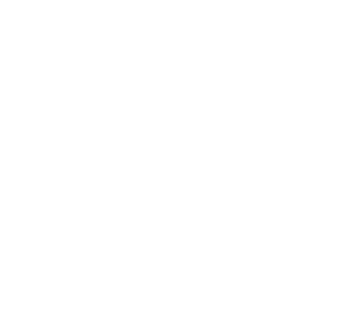 sendIcon